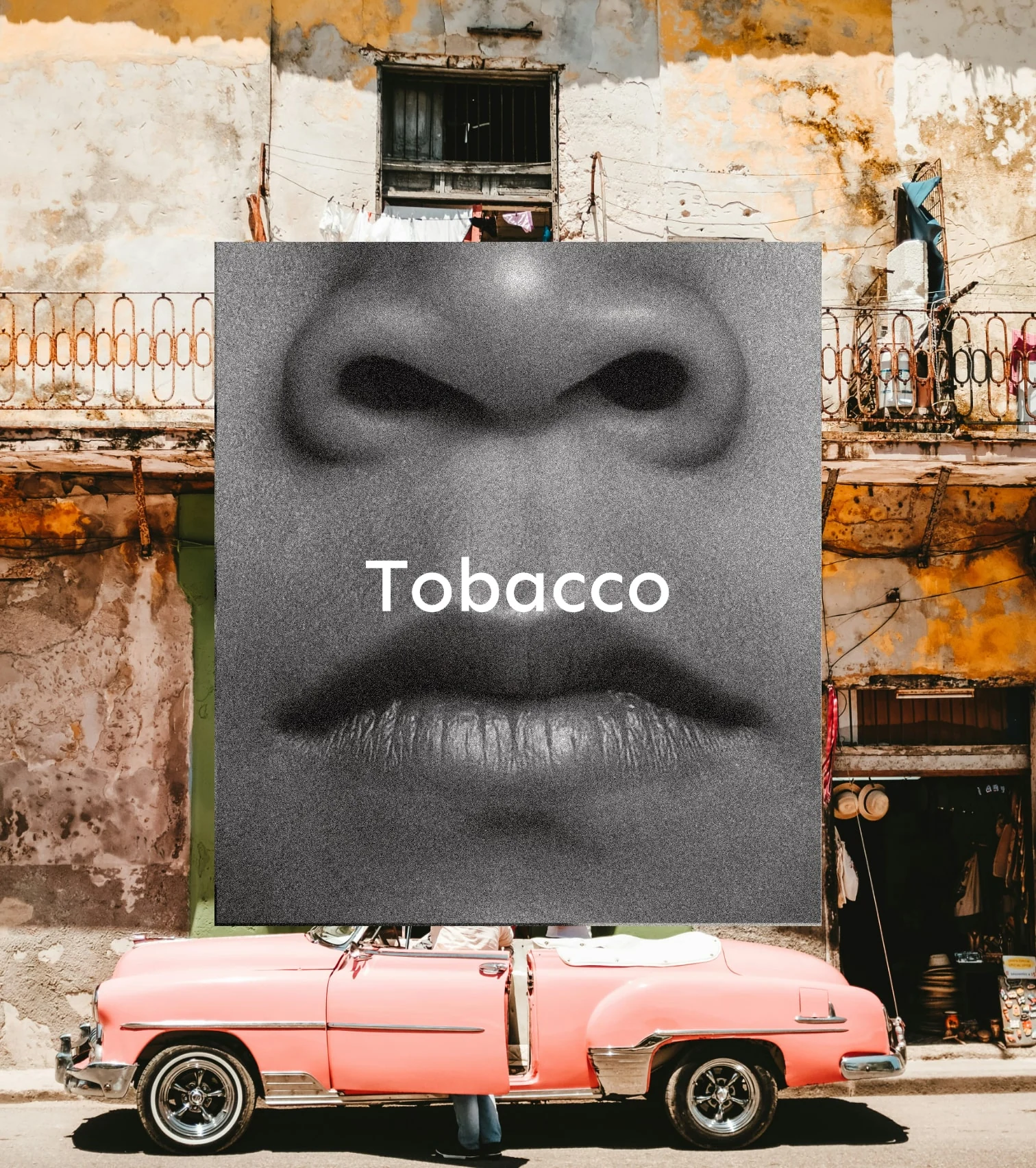 Room spray - Tobacco - Image 2